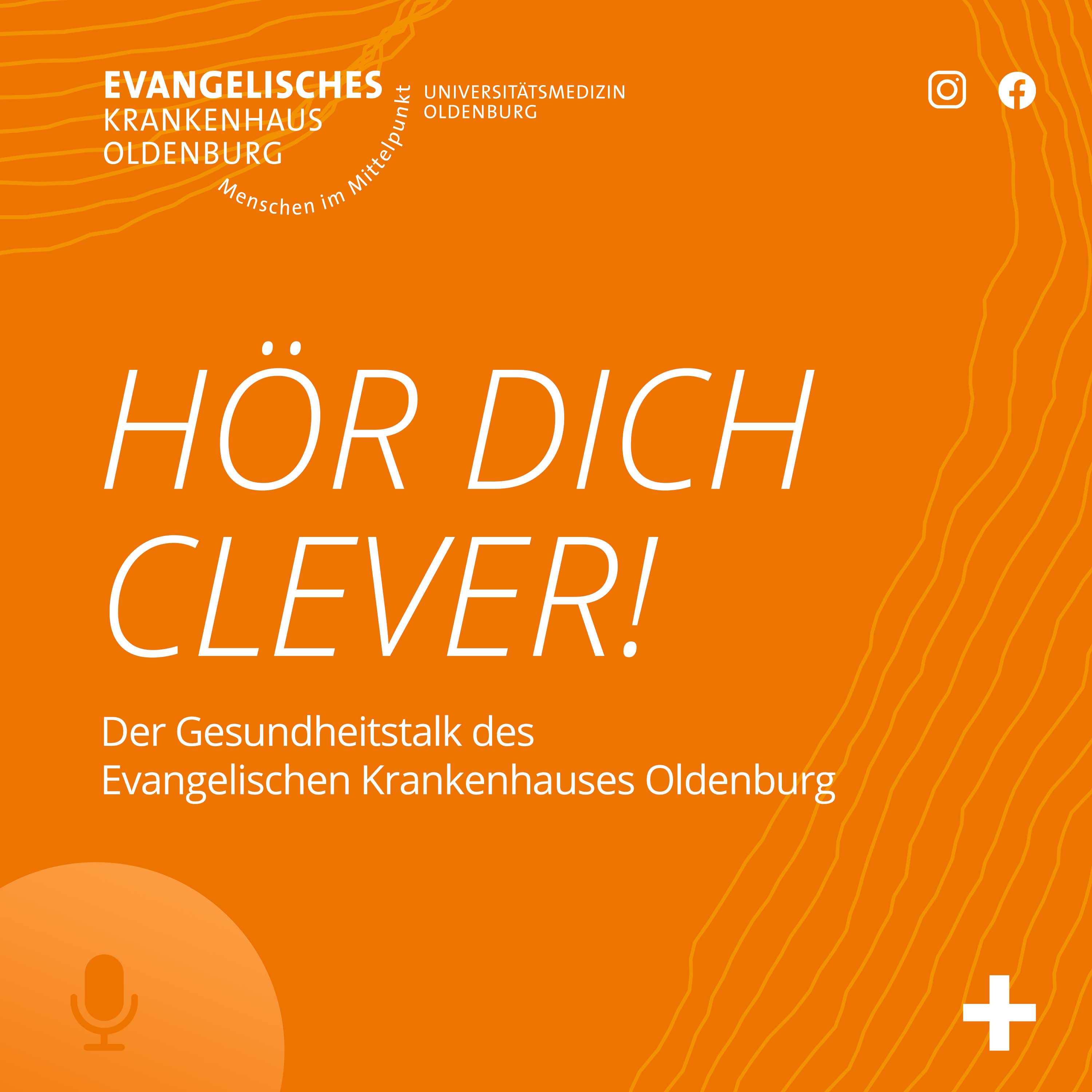 Hör dich clever! podcast artwork