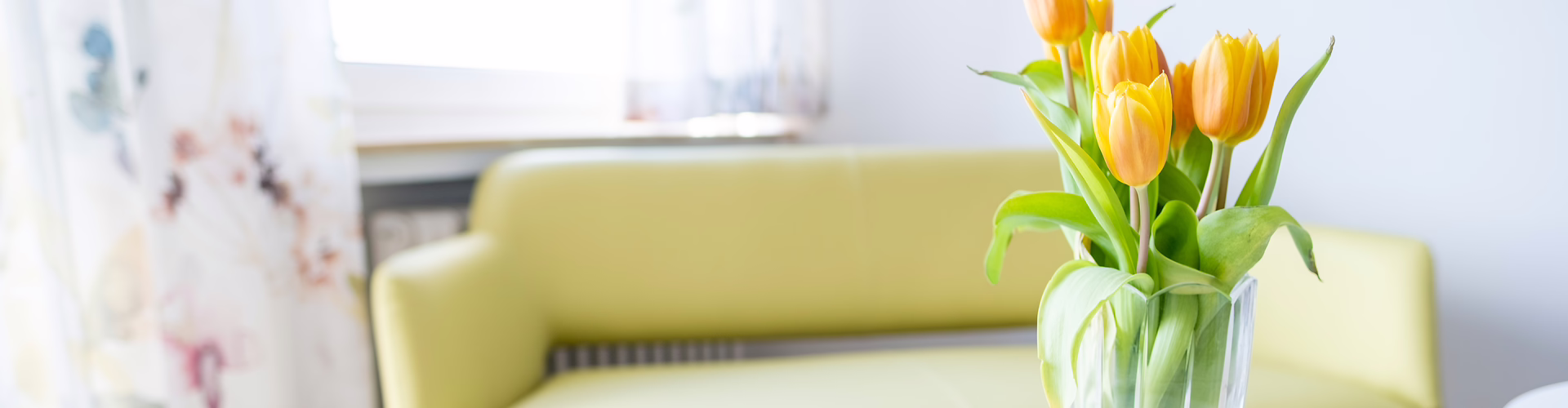 Gelbe Blumen auf einem Tisch. Im Hintergrund ein grünes Sofa.